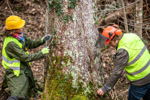 Best Seasonal Cleanup (Spring/Fall)  in Toppenish, WA